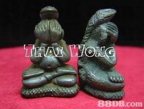 泰旺佛店提供普通佛牌 新佛牌 特別佛牌等產(chǎn)品